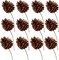 Lacquered Pine Cone Picks, 12-Pack of Natural Brown Rustic Accents for Christmas Trees, Wreaths, and Holiday Decor - 2024 Christmas Collection, Floral Home by Artificial Flowers
